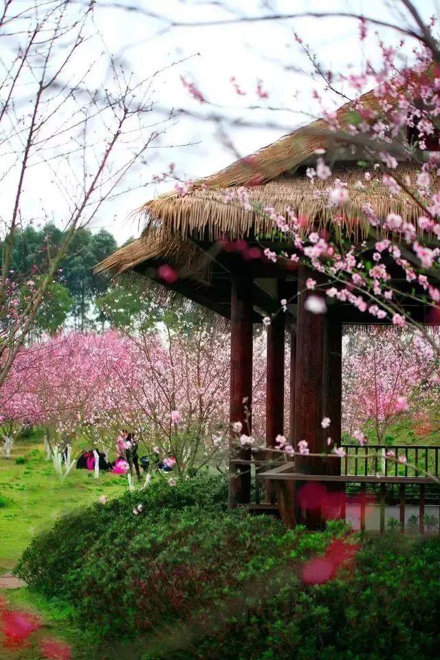 探索知识,发现乐趣——温泉有哪些种类 哪些人适合泡温泉问答交流平台