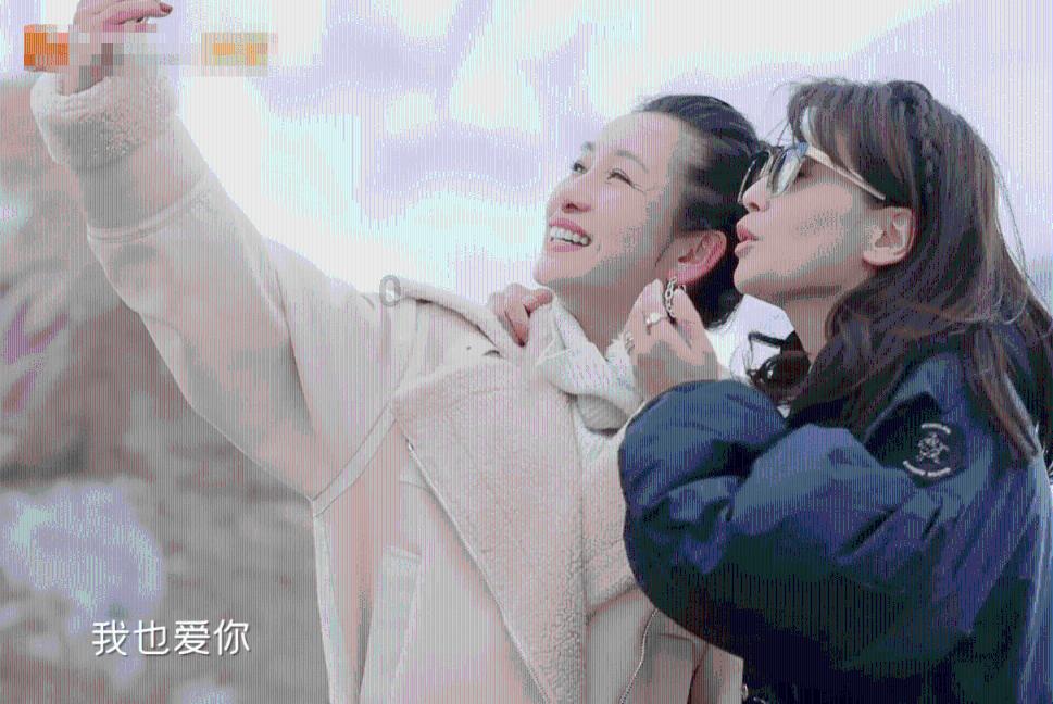 Iphone手机装扮