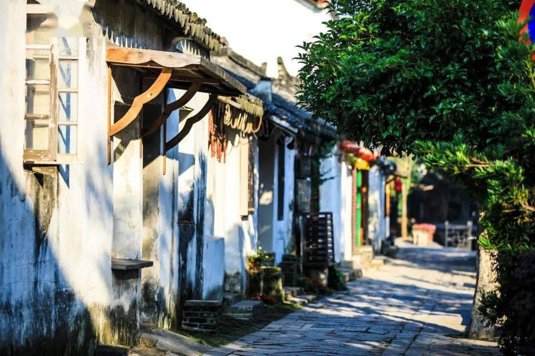 古墓丽影9